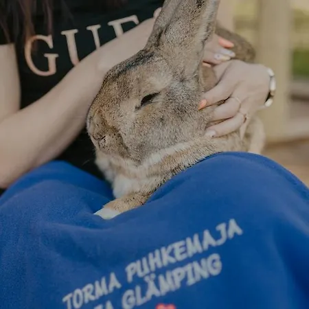 Torma Puhkemaja Ja Glaemping别墅 外观 照片