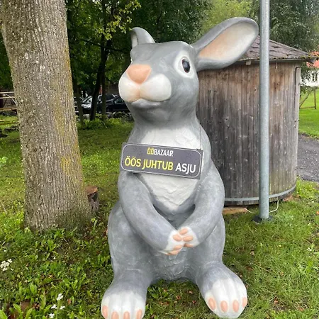 Torma Puhkemaja Ja Glaemping别墅 外观 照片